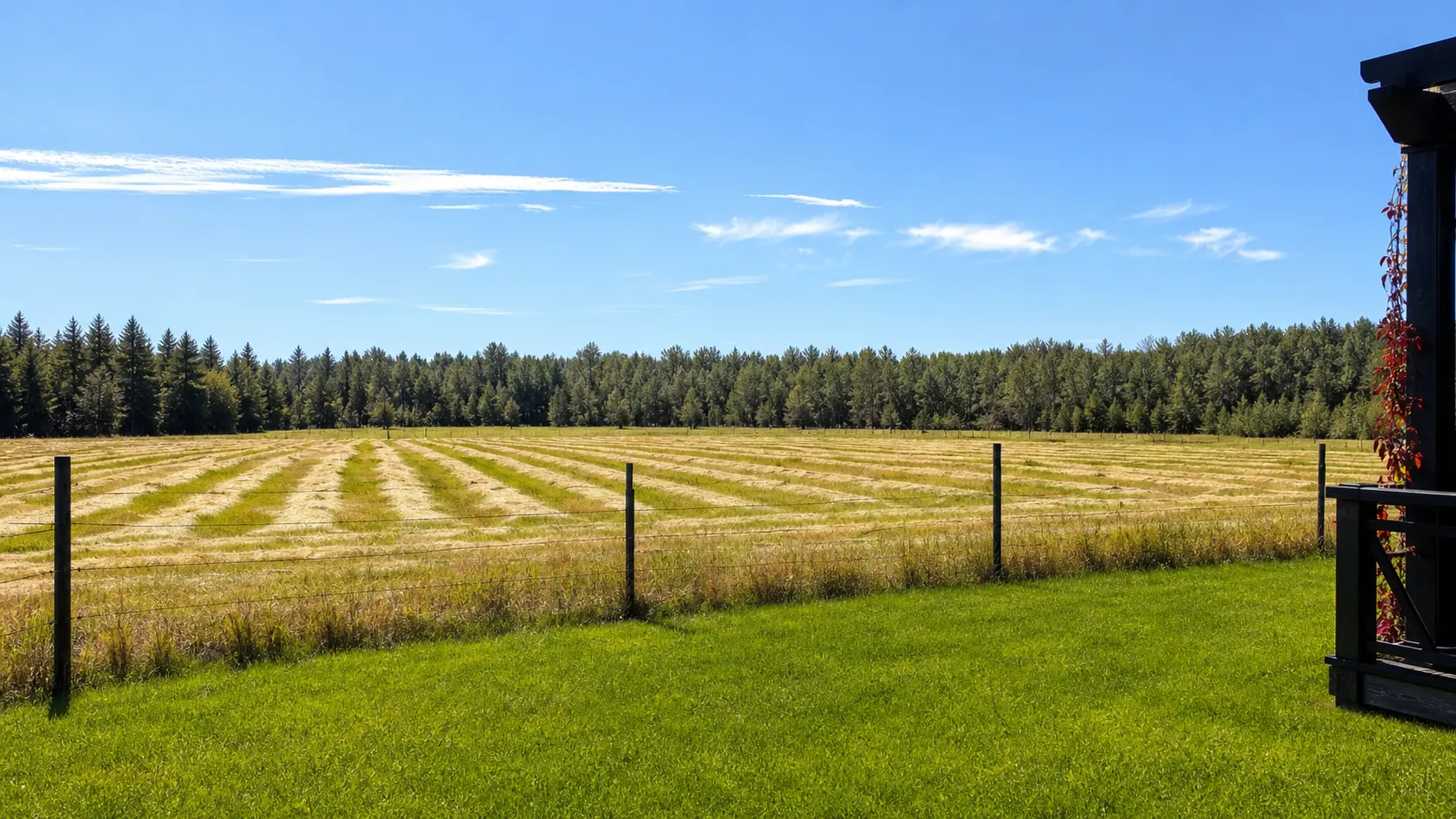 Grey Owl Meadery's adjacent hay field and patio in Alberta